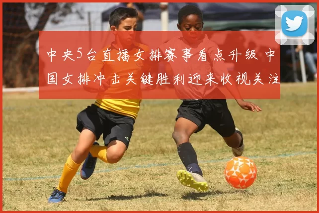 中央5台直播女排赛事看点升级 中国女排冲击关键胜利迎来收视关注